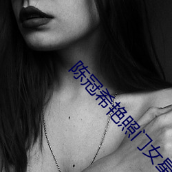 陈冠(冠)希艳照(照)门女星