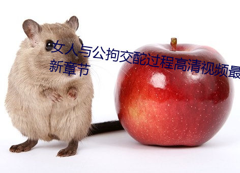 女人与公拘交(jiāo)酡过程高清视频最新章节(jié)