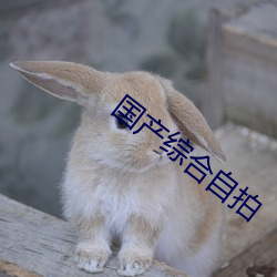 国产综合(hé)自拍(pāi)