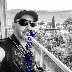 黃app免費軟件下載平台ap