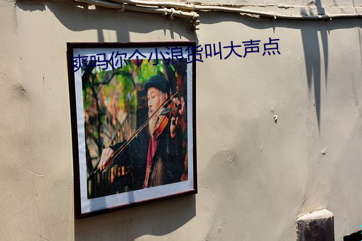 爽嗎你個小浪貨叫大聲點