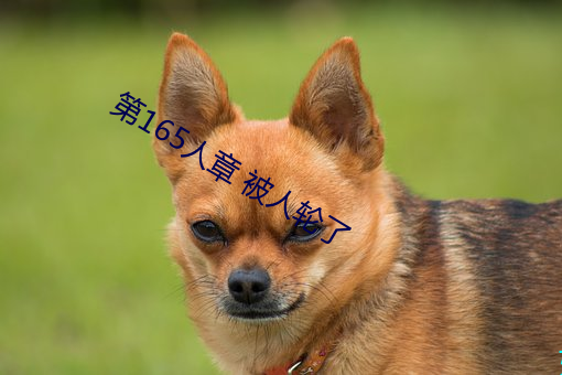 第165人章 被(bèi)人轮了(le)