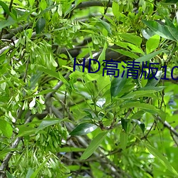 &#25105;&#x7684;&#22909;&#x5988;&#22920;3&#22312;&#x7EBF;&#35266;&#x770B;&#38889;&#x5267;&#26080;&#x5220;&#20943;&#x5B8C;&#25972;&#x7248; | &#x65E0;&#21024;&#x51CF;&#23436;&#x6574;&#29256;