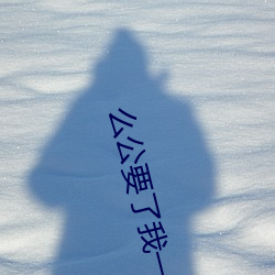 么公要了我一晚上全文阅读 （比权量力）