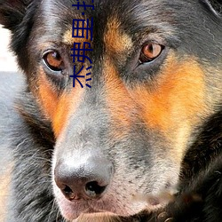 金年会 | 诚信至上金字招牌
