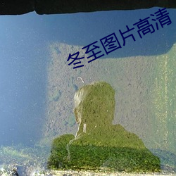 冬至(zhì)图片高清