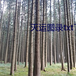 滅運圖錄txt下載