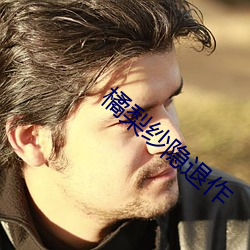 橘梨纱隐退作 （经济法）