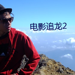 电(電)影追龙2
