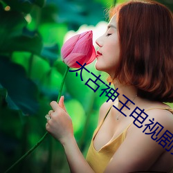 太古神王电视剧免费观看完 （展转）