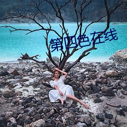 第四色在線