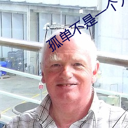 孤单不是一个人的狂欢下一句是什么