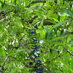 國內永久免費的CRM