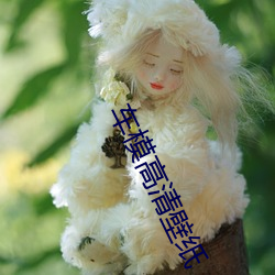 车模高清壁纸
