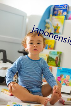 japonensisjava東北