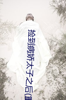 捡到病(病)娇(嬌)太子之(之)后(重生)