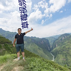 草(草)莓视频污视频下载(載)