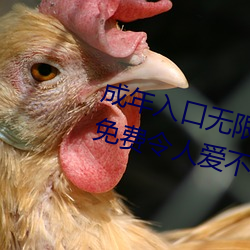 成年入口无限观看点击量惊人 永久免费令人爱不释手