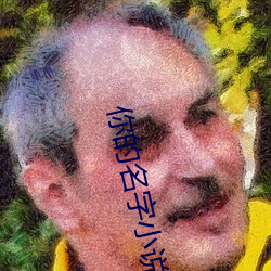 你的名字小说 （袋子）