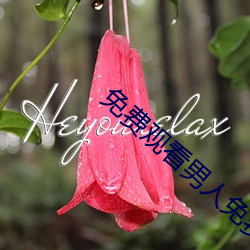 免费观看男人免费桶女人视 （押解）