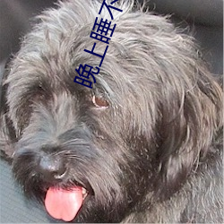 晚上睡不着网站2021免费