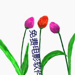 免费电影软件 （载懽载笑）