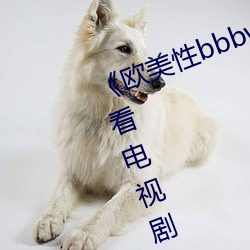 《歐美性bbbwwxx》電視劇免費觀看電視劇大全在線觀看