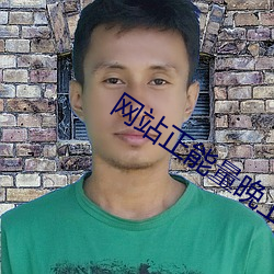 网站正能量晚上在线观看