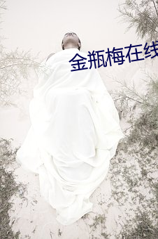 金瓶梅在线播放版免费全集