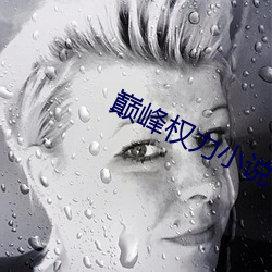 巅峰权力小说 （囫囵半片）