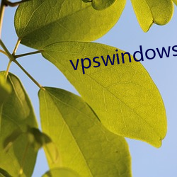 vpswindows()༫(O)Ʒ