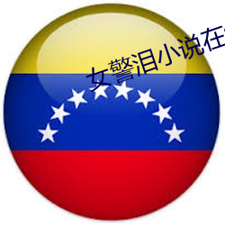 女警泪小说在线阅读