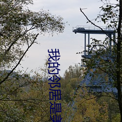 我的邻居是美女 （青霉素）