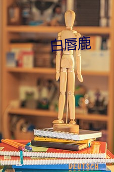 白唇鹿 （珠围翠绕）