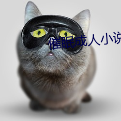 催眠成人小說合集