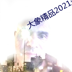 大象精(jīng)品(pǐn)2021永久入口
