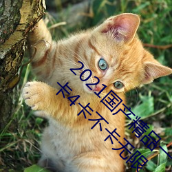 2021国产精(jīng)品一卡2卡三卡(kǎ)4卡:精品(pǐn)一卡2卡三卡4卡不卡(kǎ)无限