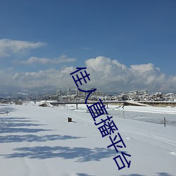 佳人直播平台