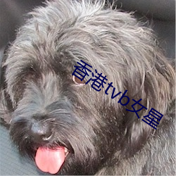 香港tvb女星(xīng)