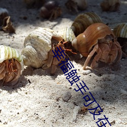 幸福触手可及在(zài)线观看免费