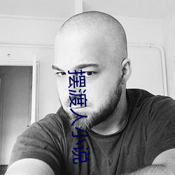 摆(擺)渡人小说