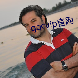 qqcvip官網