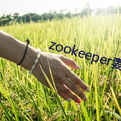 zookeeperhadoop