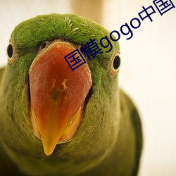 国模gogo中国人体私拍 （涵蓄）
