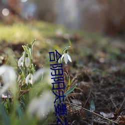 合阴阳夫妻之道 （覆酱烧薪）