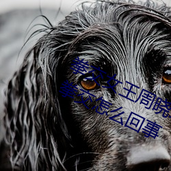 拳交女王周晓琳图片:周晓琳是什么人拳交怎么回事 （辞退）