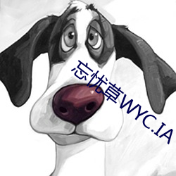 忘忧草WYC.IA （分量）