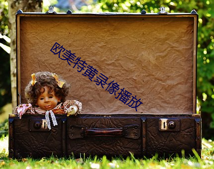 欧(歐)特(特)黄录像(像)播放