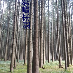 尊龙凯时-人生就是搏!