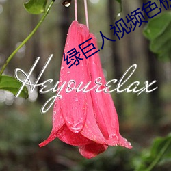 绿(綠)巨人(人)视频(頻)色板